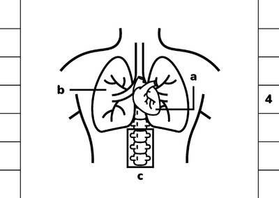 2.10.medicalcases_page_17.jpg